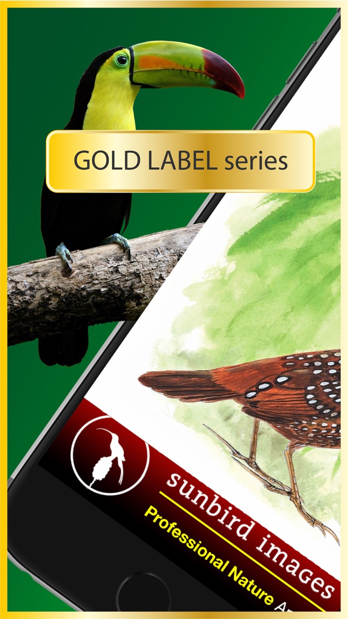 All Birds North. South America