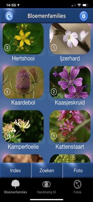 Wilde Bloemen Id NL(圖1)-速報App