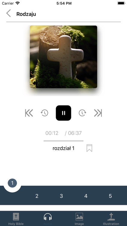 Polish Holy Bible with Audio