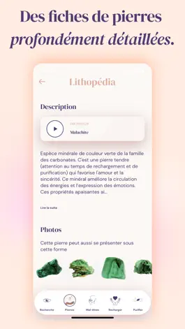 Game screenshot Lithopedia apk