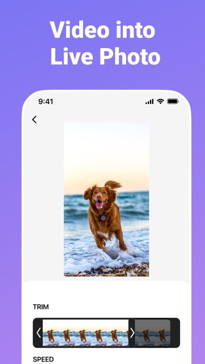 Video to GIF Maker : Converter