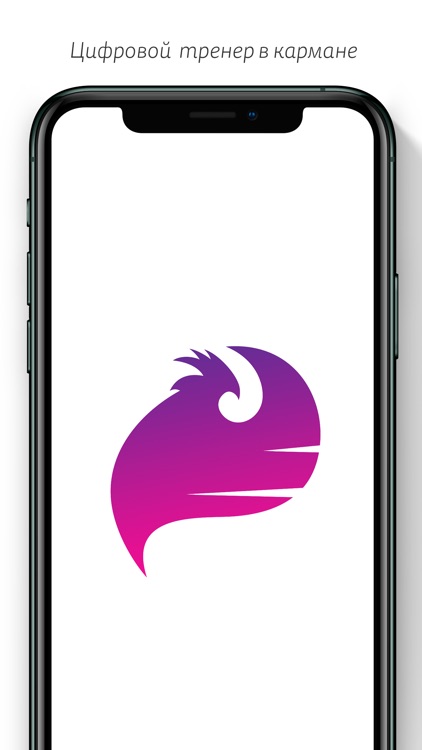 New Phoenixes App