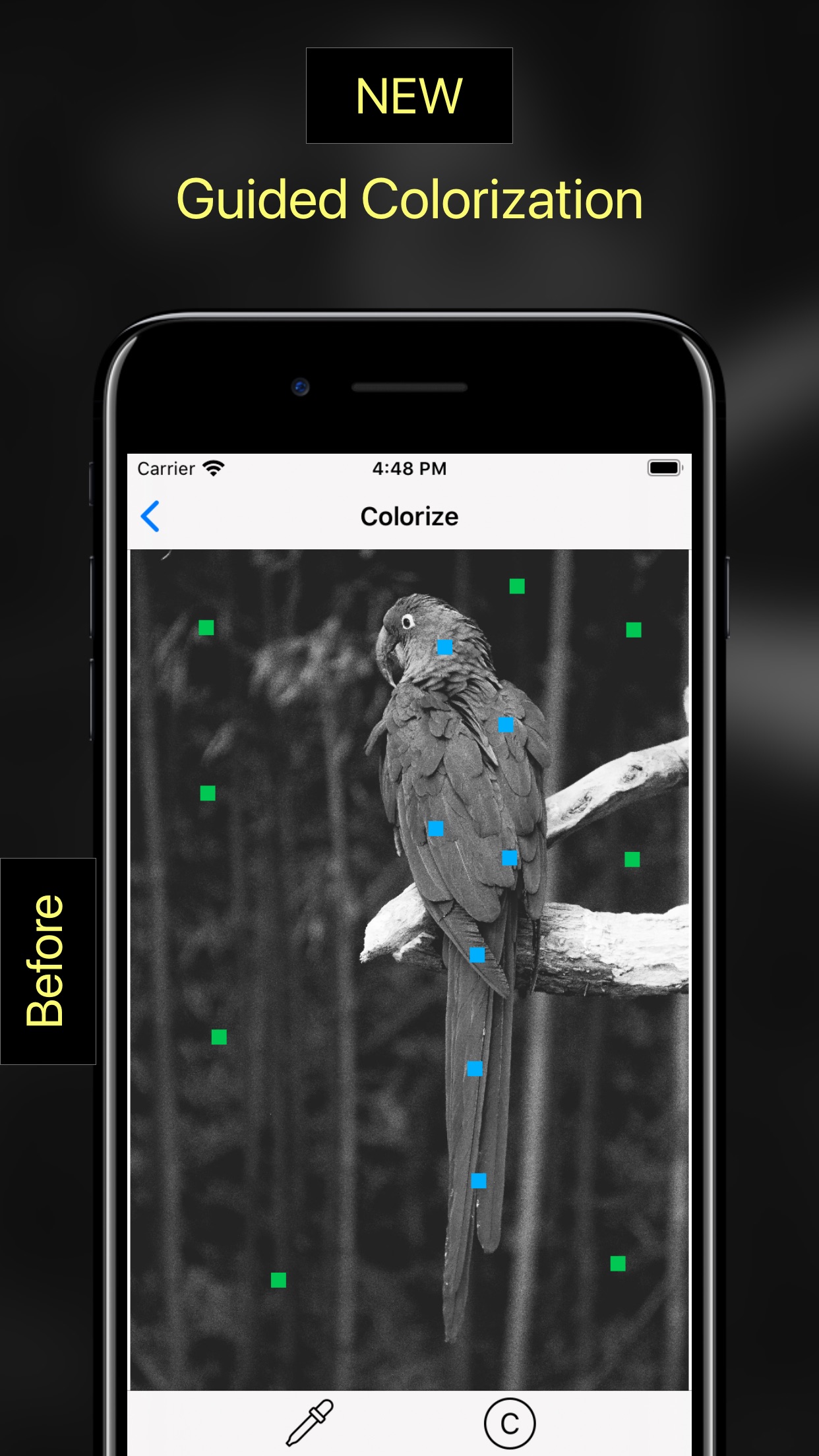 Screenshot do app Pholorize: Colorize Old Photo