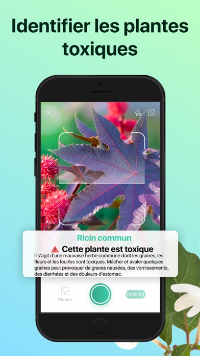 PictureThis:Identifier Plantes PictureThis:Identifier Plantes