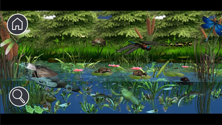 Kitty's Garden Safari screenshot-9