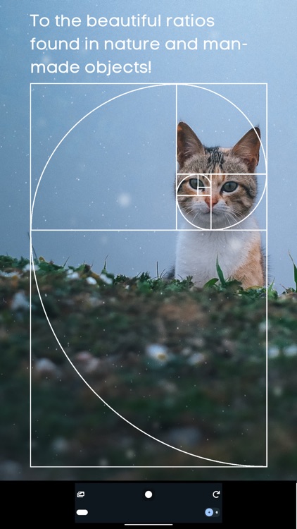 Golden Ratio Camera. Perfect screenshot-4