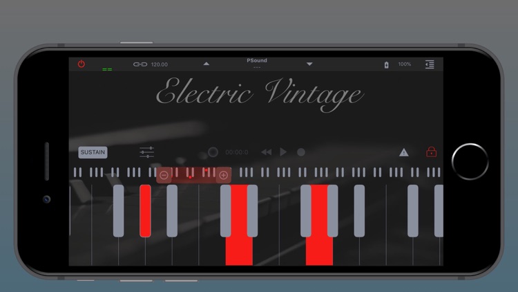 Electric Vintage screenshot-0