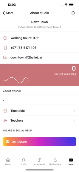 Game screenshot Rose Ballet apk