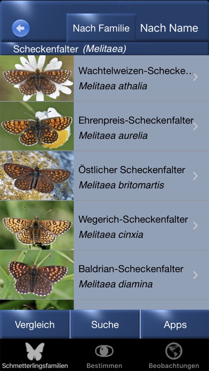 Schmetterling Id - Tagfalter screenshot-8