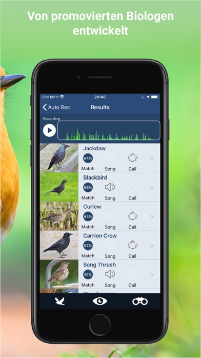 Vogelstimmen Id - Rufe,Gesänge screenshot 3