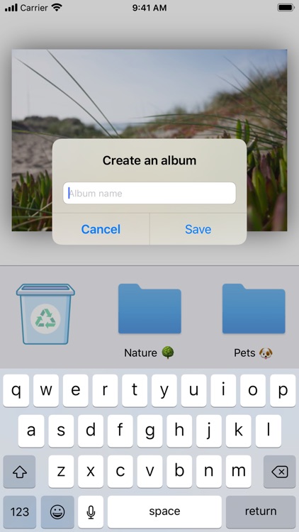 Pictize: Camera Roll Organizer