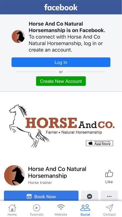 Horse And Co screenshot 4