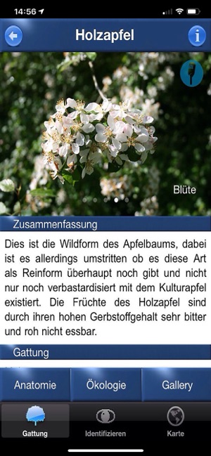 Baum Id Schweiz - Naturführer(圖4)-速報App