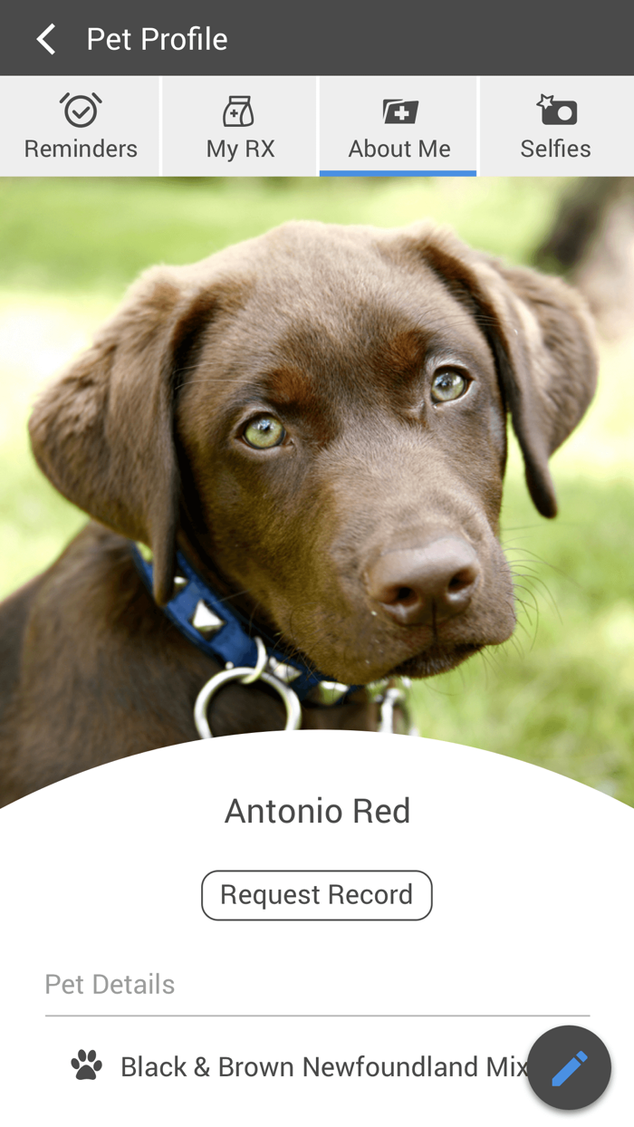 Animal Hospital of Peak Plaza