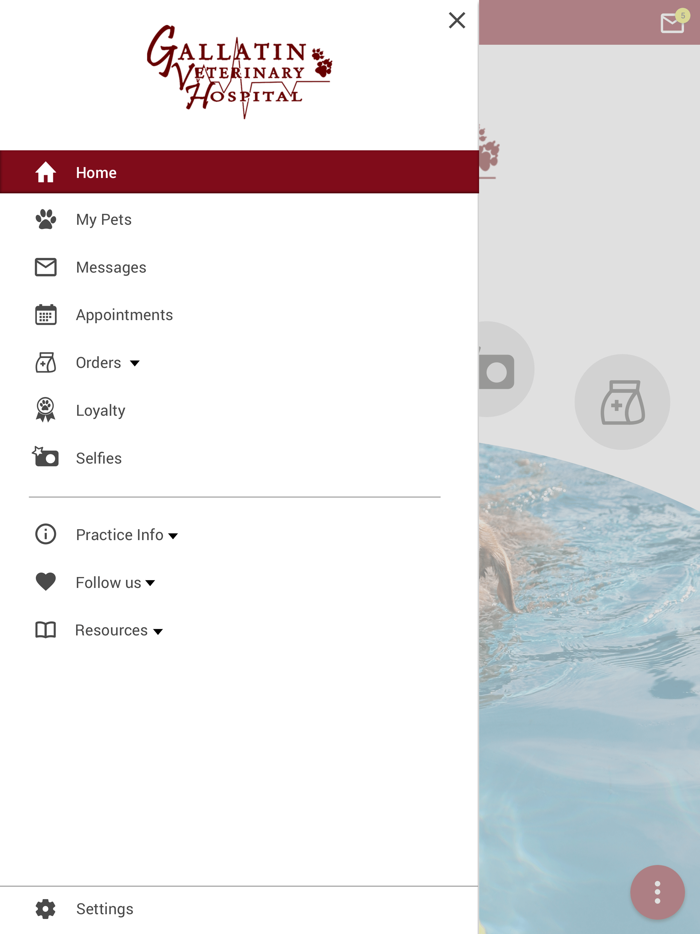 Gallatin Veterinary Hospital