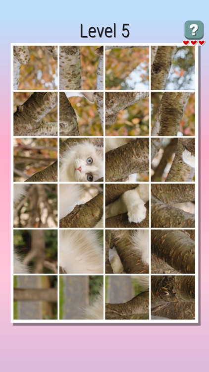 Photo Rotate Puzzle screenshot-6