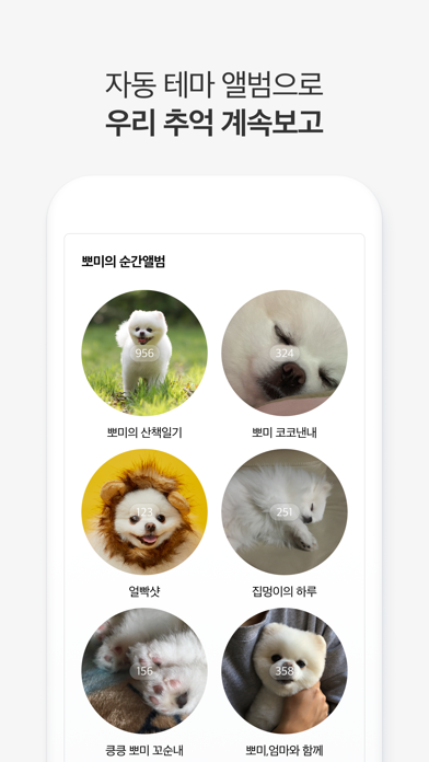 포에버 pawever - 나만의 반려견 맞춤 앨범 PC 용