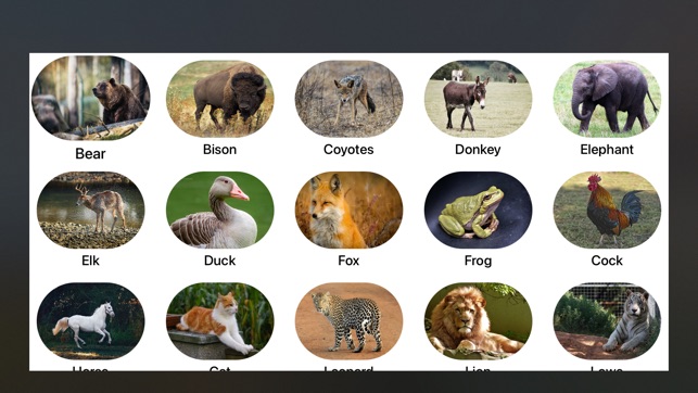 Animal Sounds on TV on the App Store