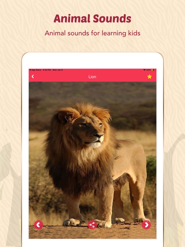 Animal Sounds for Kids.! on the App Store