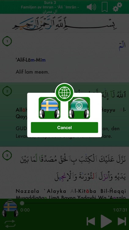 Quran Audio mp3 Pro in Swedish screenshot-3