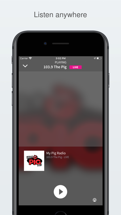 My Pig Radio screenshot 2