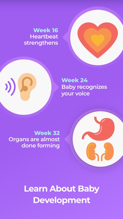 Pregnancy & Baby Tracker WTE screenshot-3