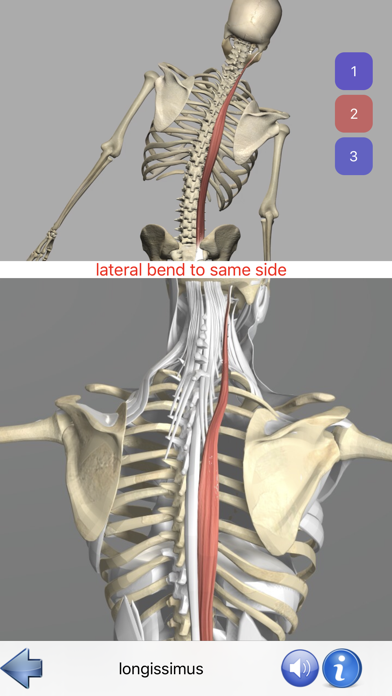 Visual Anatomy Screenshot 6