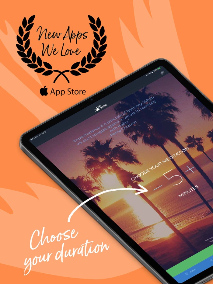 Sky Tripping Meditations