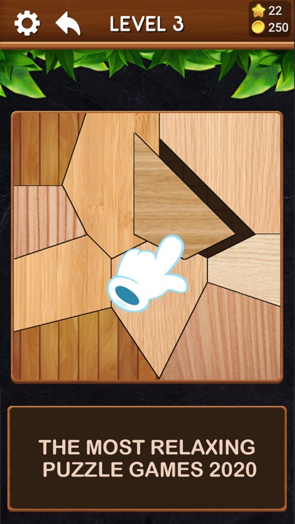 Wood Puzzle Jigsaw Intelligent