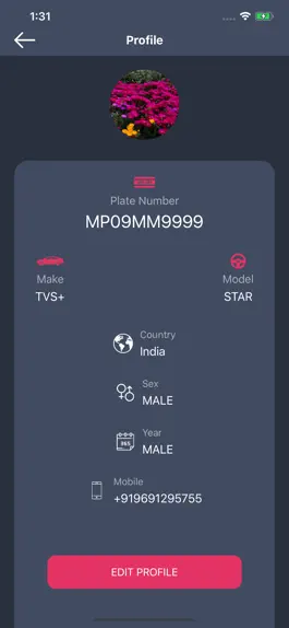 Game screenshot PlatesUpp apk