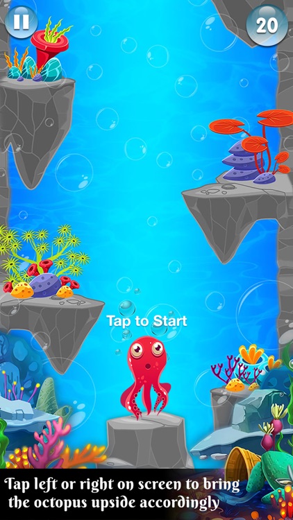 Octopus Jump Challenge