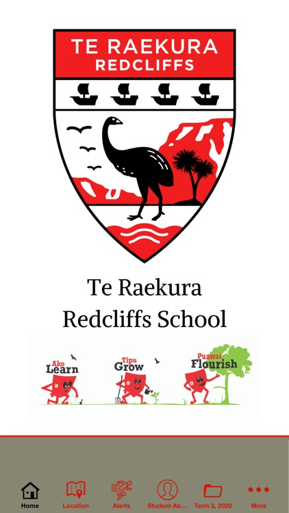 Redcliffs School