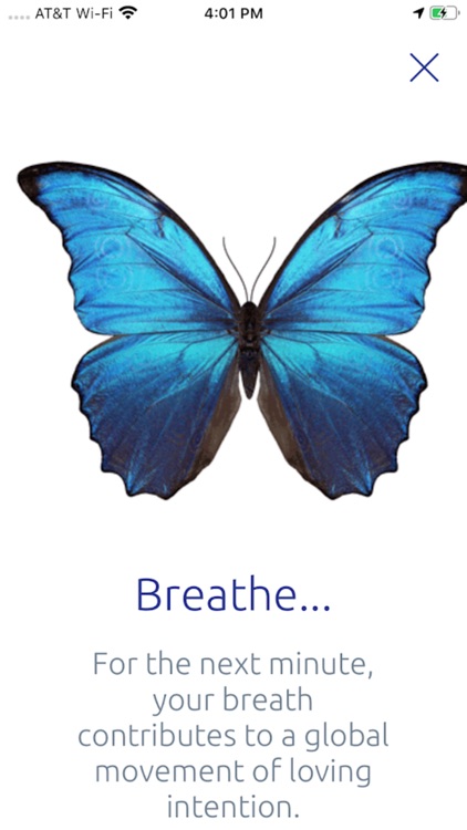 BELove Breathing App screenshot-3