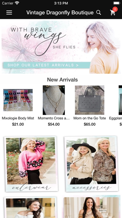 Vintage Dragonfly Boutique