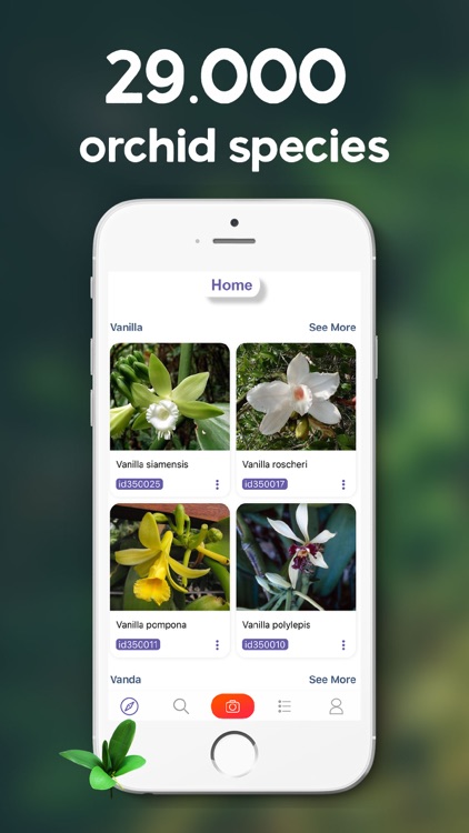 Lookuq Orchid Recognition screenshot-3