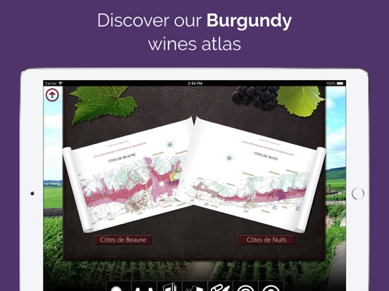 ブルゴーニュ地図 (Burgundy maps)のおすすめ画像1