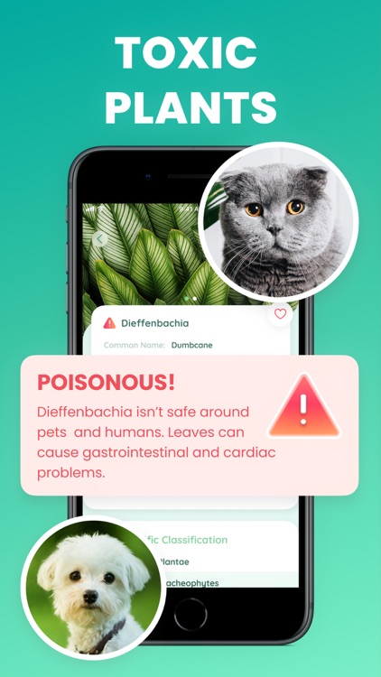 Plant identification and care screenshot-3