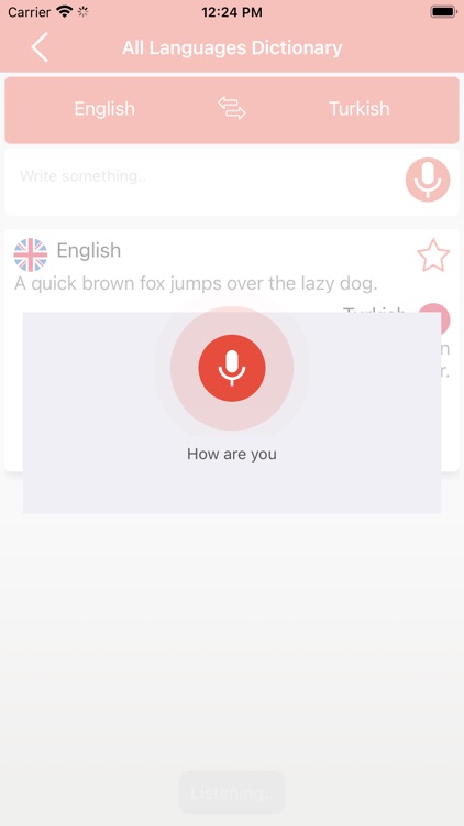 All Languages Voice Dictionary screenshot-3