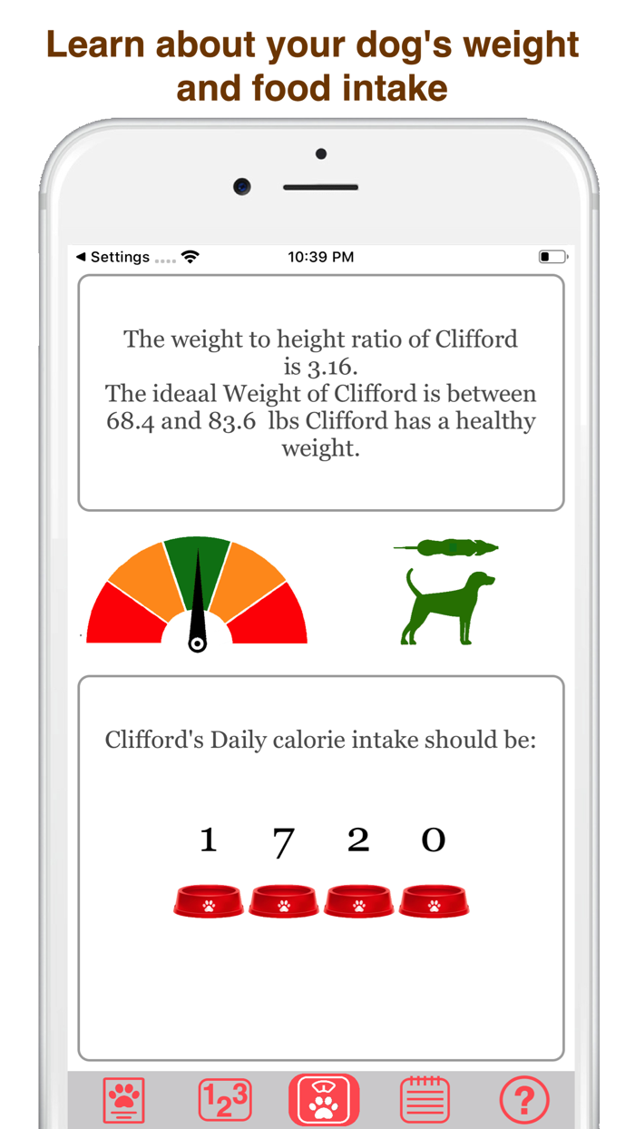 My Labrador Retriever