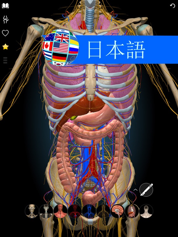 3D Anatomy Learning - Atlasのおすすめ画像1