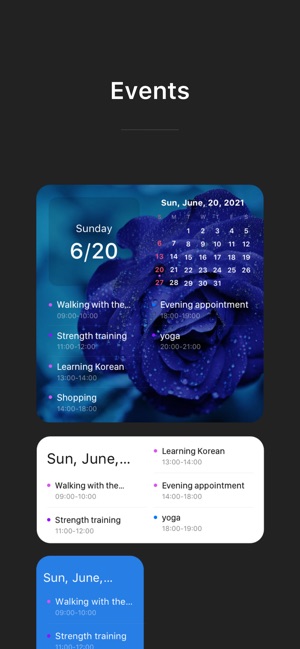 Widget Calendar