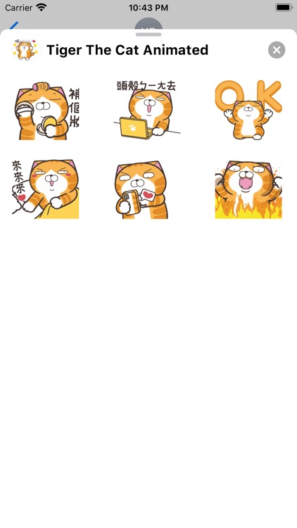 Tiger The Cat Animated