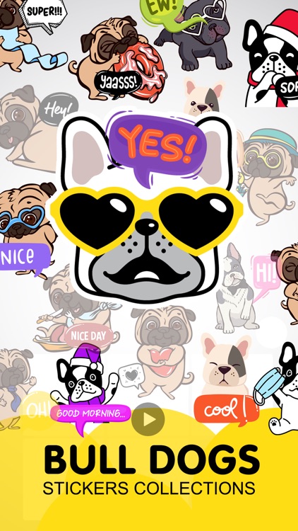 Bull Dogs Animated