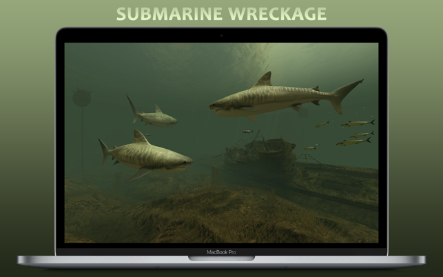 ‎Sharks 3D Screenshot