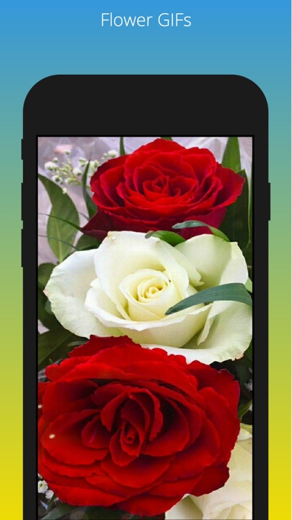 HD-live Wallpapers - Quotes screenshot-3