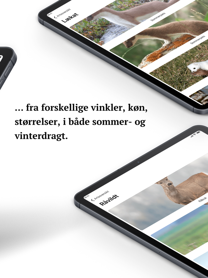 Jægerappen - jagttegn artsquiz