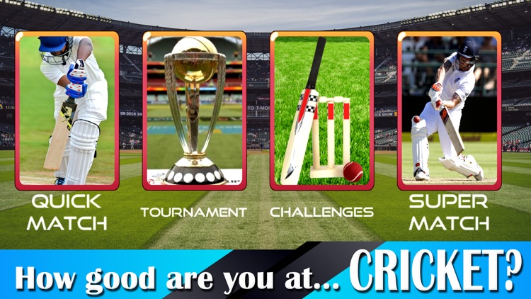 Cricket Champ - World Cricket screenshot-3