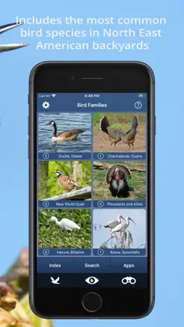 Game screenshot Bird Id USA - backyard birds hack