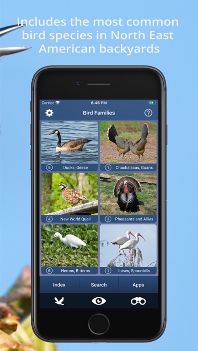 How to cancel & delete Bird Id USA backyard birds from iphone & ipad 3