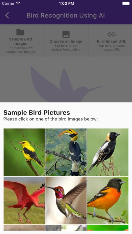 AI For Birds screenshot-3